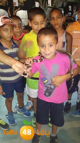 masyaf 7san 3arafasaj (64).jpg